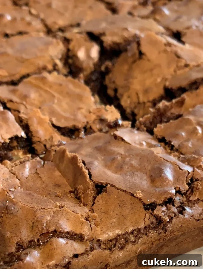Triple Chocolate Pecan Brownies. These chewy soft brownies have a classic crisp outer, loaded with chocolate and pecan nuts. A sinfully rich chocolate dessert perfect for chocolate lovers