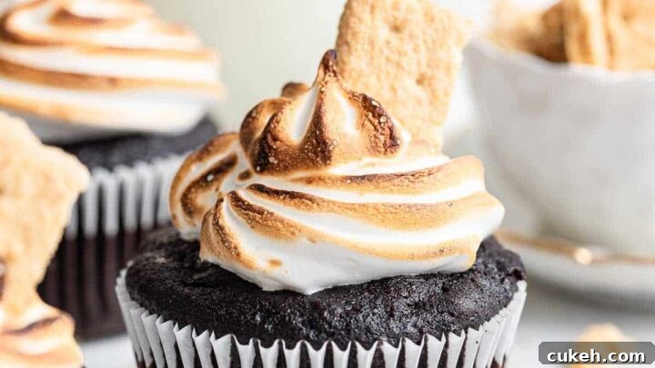 Chocolate cupcake with torched white frosting and graham cracker piece.
