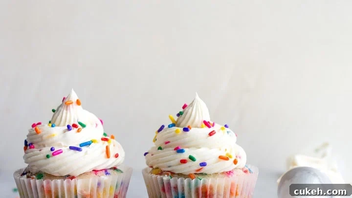 Birthday Cupcakes with Sprinkles