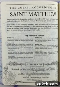 My Promise Bible key promise verses