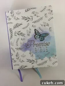 My Promise Bible front cover