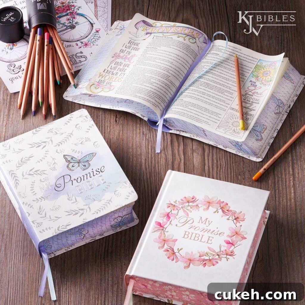 My Promise Bible Flip Through and Review