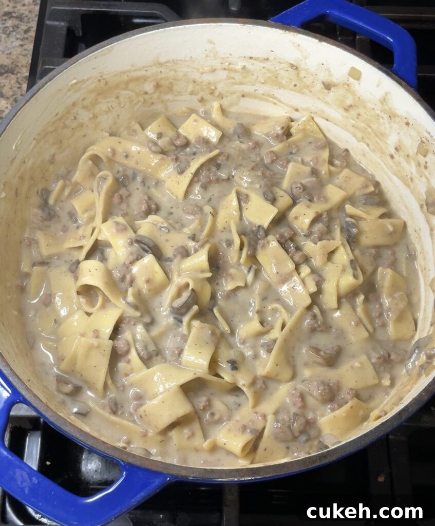One-Pot Beef Stroganoff