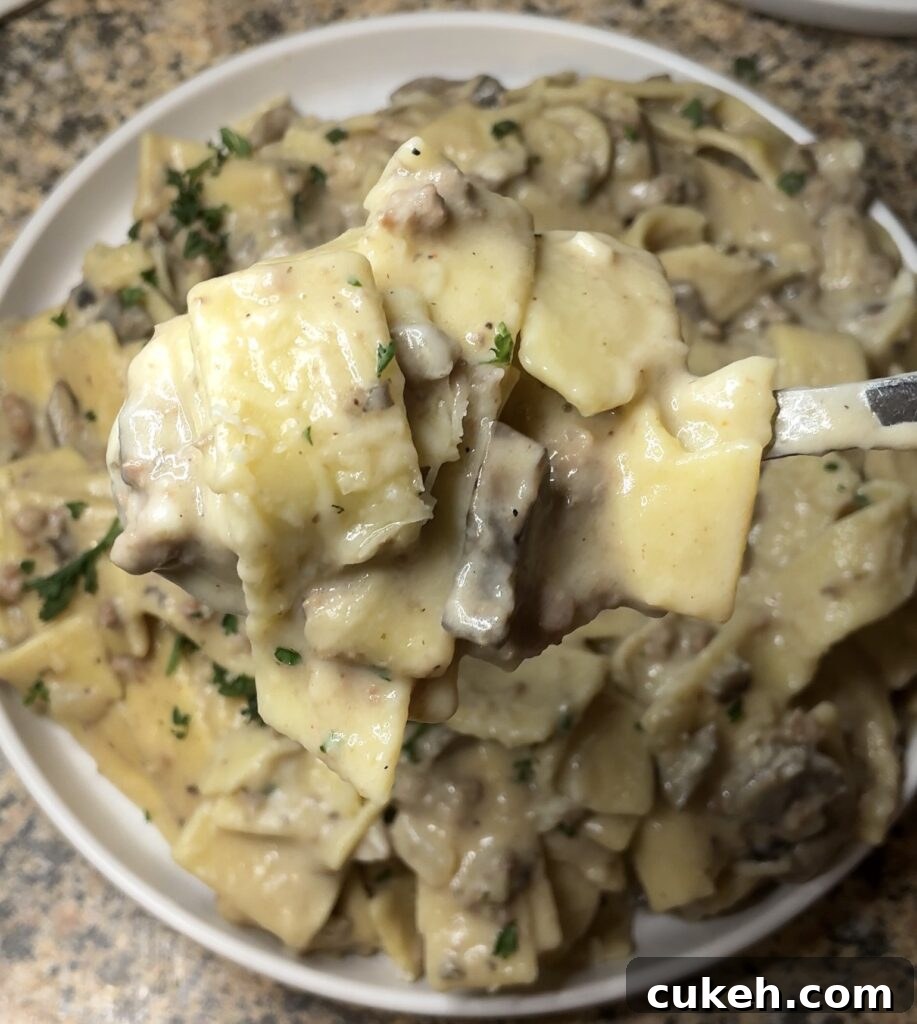 One-Pot Beef Stroganoff