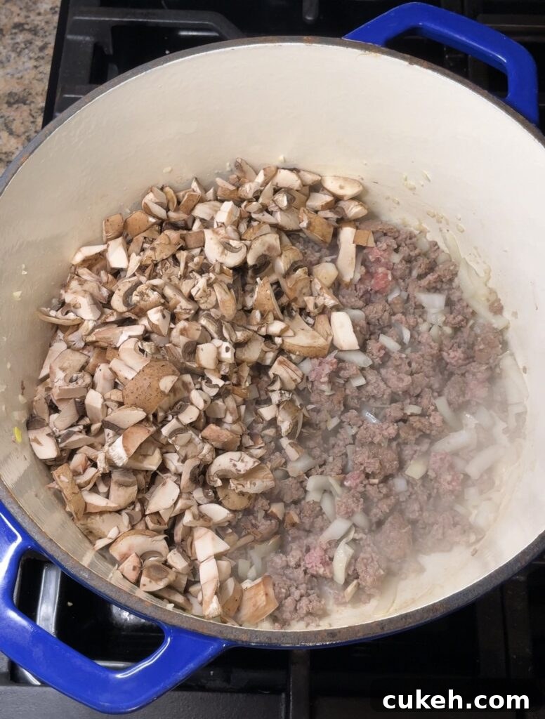 One-Pot Beef Stroganoff