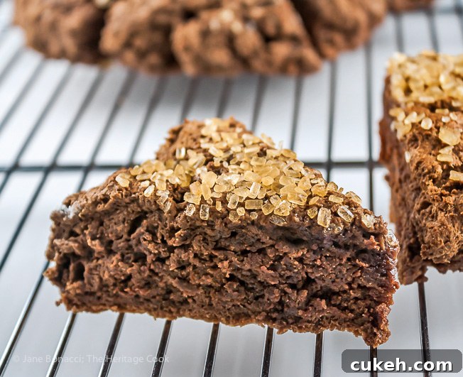 Hot from the oven; Double Chocolate Sugared Scones; 2015 Jane Bonacci, The Heritage Cook