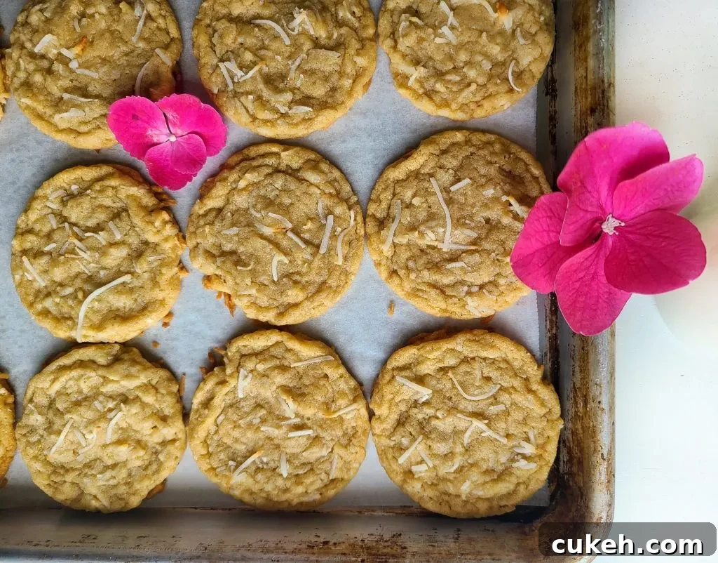 chewy coconut cookies