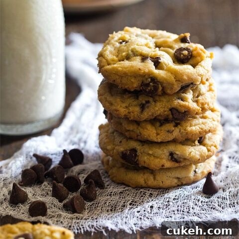 Pile of chocolate chip cookies
