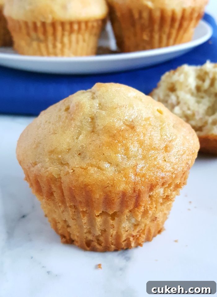4 Ingredient Cake Mix Banana Muffins - Mix together 3 bananas, 3 eggs, 1/2 cup oil, and 1 box yellow cake mix to make moist and delicious banana muffins! Super quick and easy.