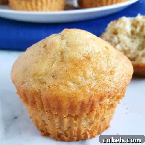 4 Ingredient Cake Mix Banana Muffins