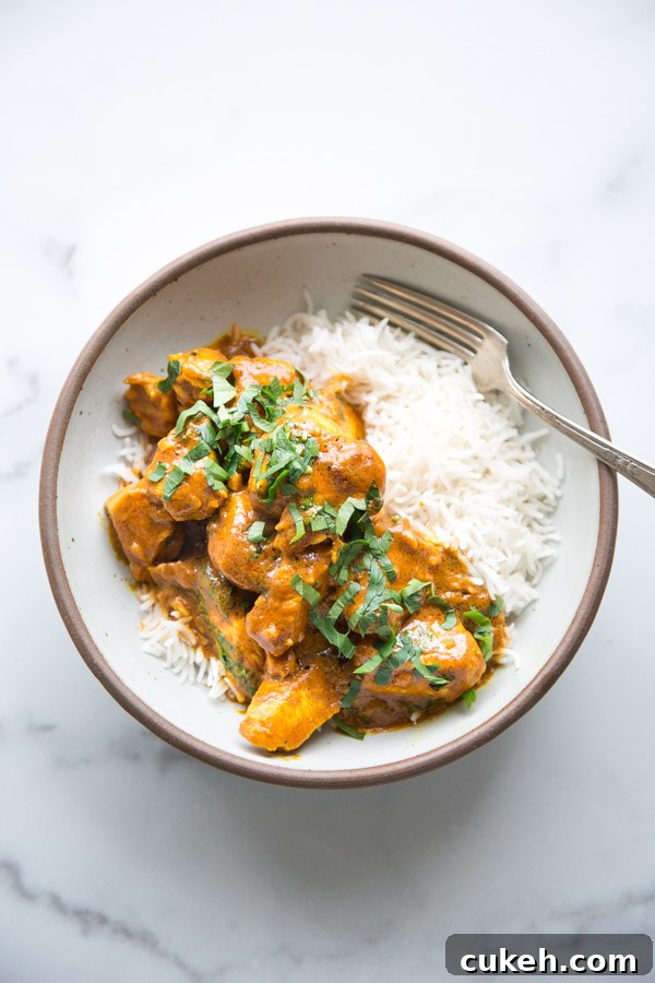 low fodmap butter chicken curry in a bowl with rice and fork