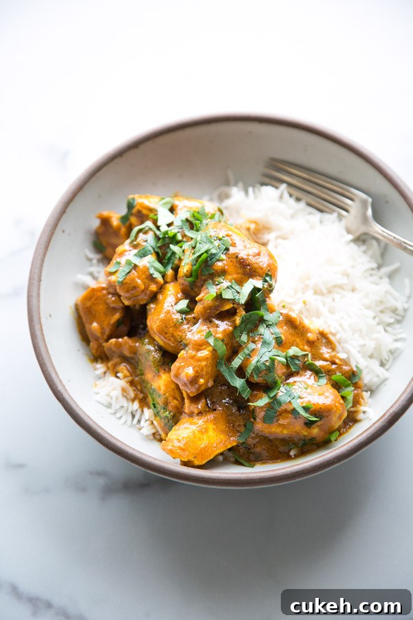low fodmap butter chicken curry in a bowl with rice and fork