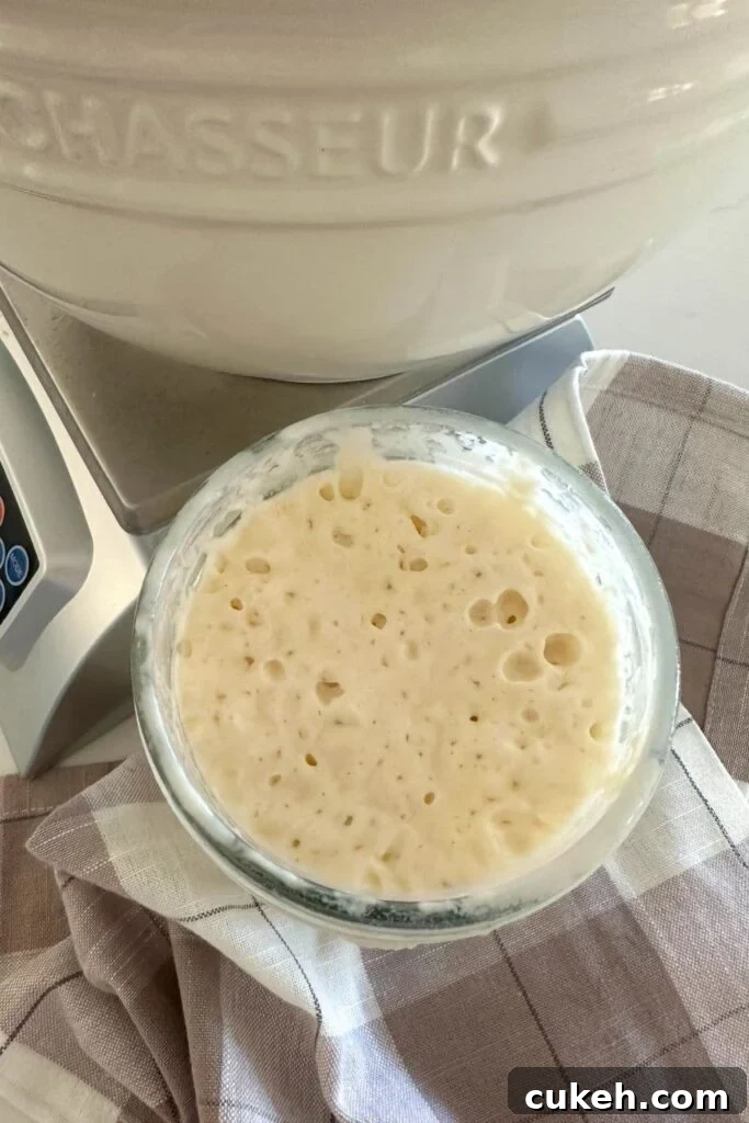 A jar of sourdough starter photographed from the top down.
