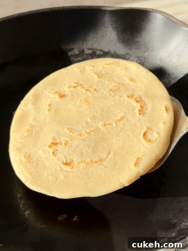 Central American masa harina tortillas