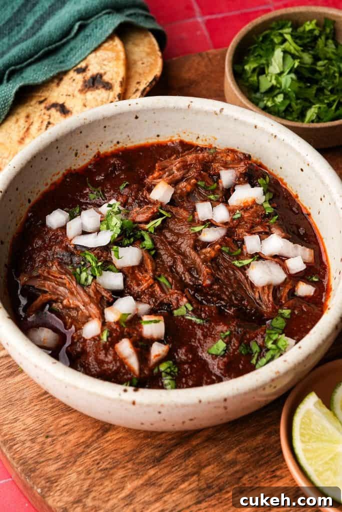 Bowl of shredded beef birria in rich consommé topped with chopped onion and cilantro, served with tortillas and lime.