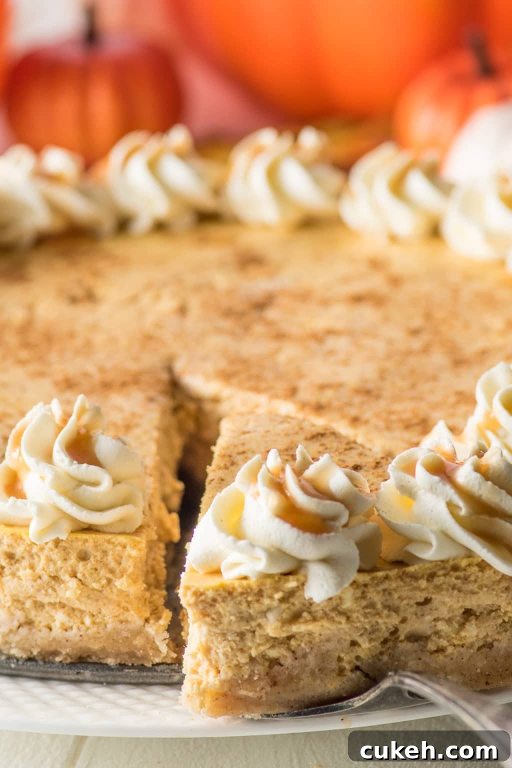 Low-Carb Pumpkin Cheesecake Recipe for Your Holiday Table 4 Close up of cheesecake texture
