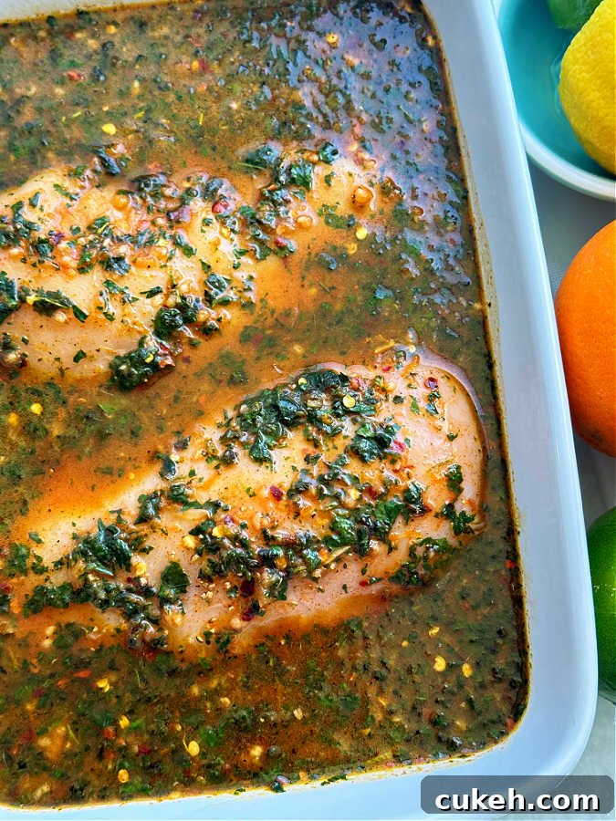 raw chicken breasts being marinated in the citrus marinade