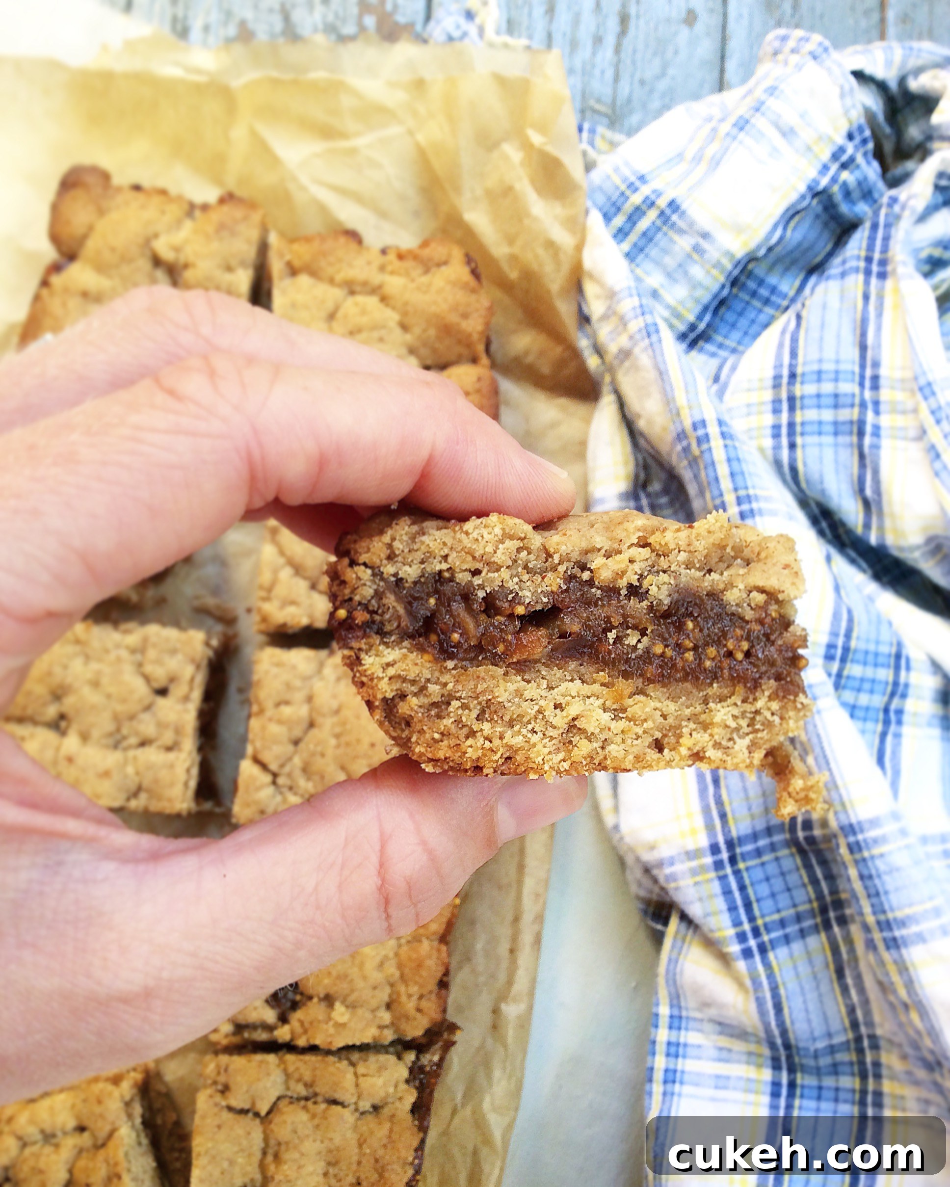 Whole Wheat Fig Bars (Vegan)