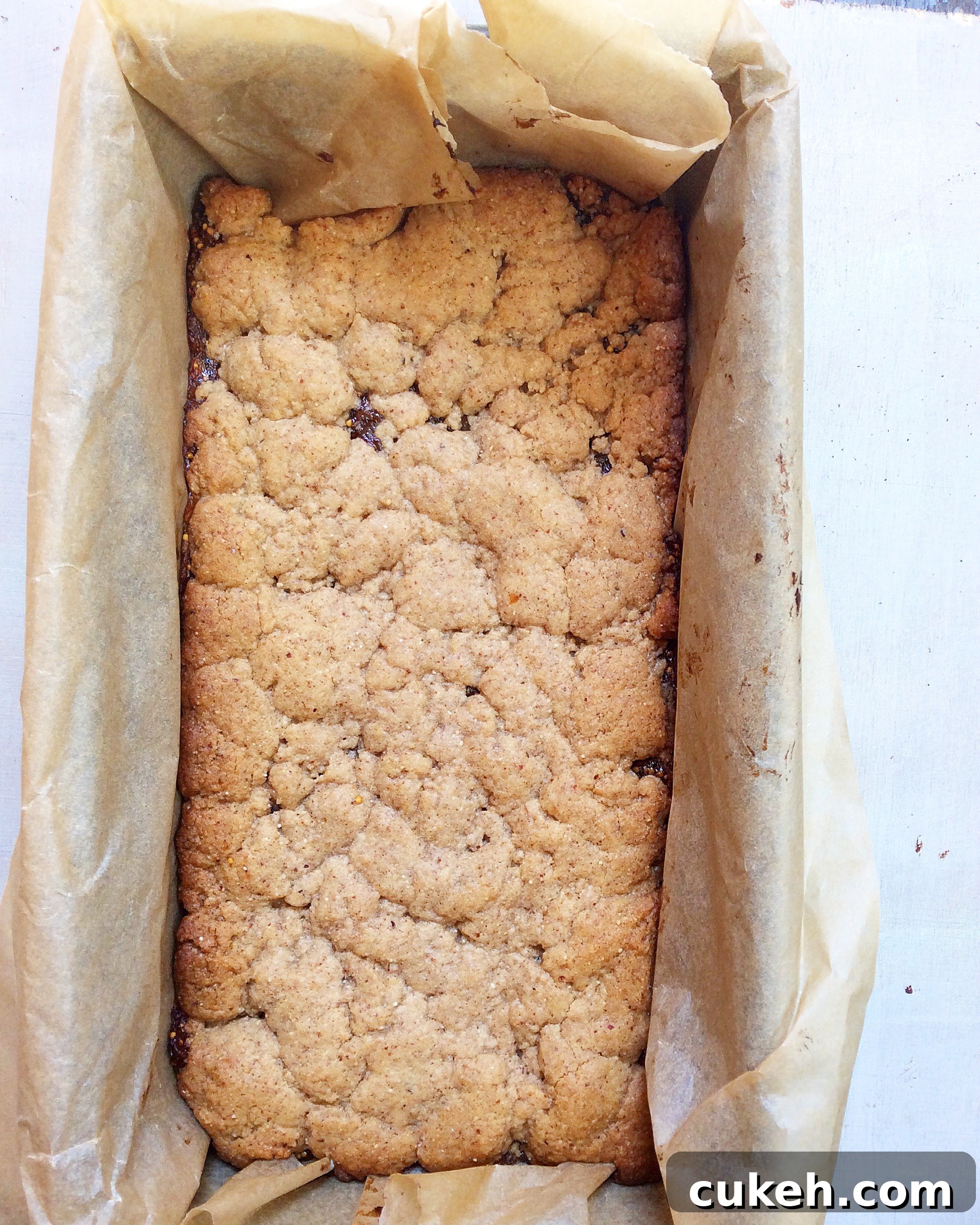 Whole Wheat Fig Bars (Vegan)