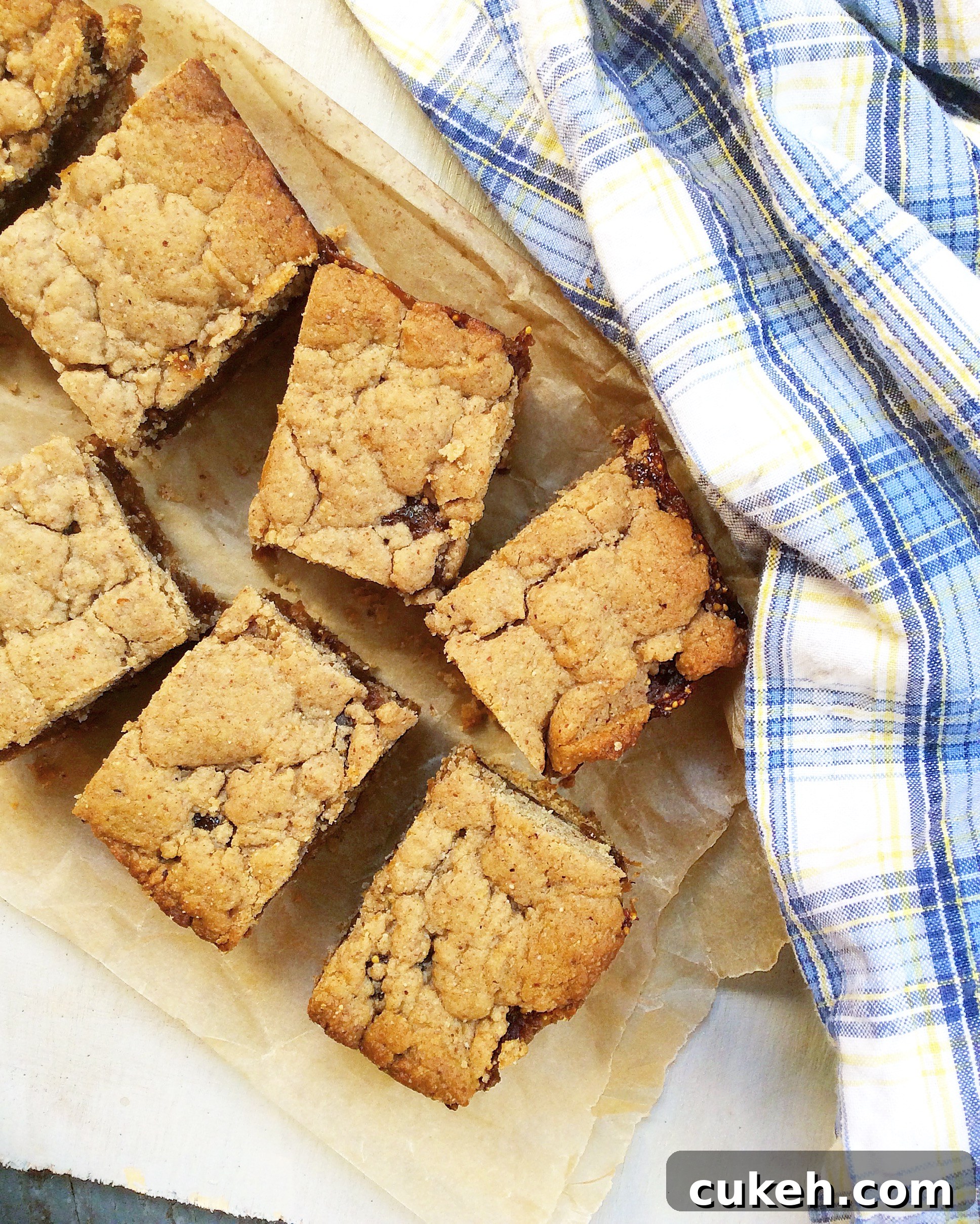 Whole Wheat Fig Bars (Vegan)