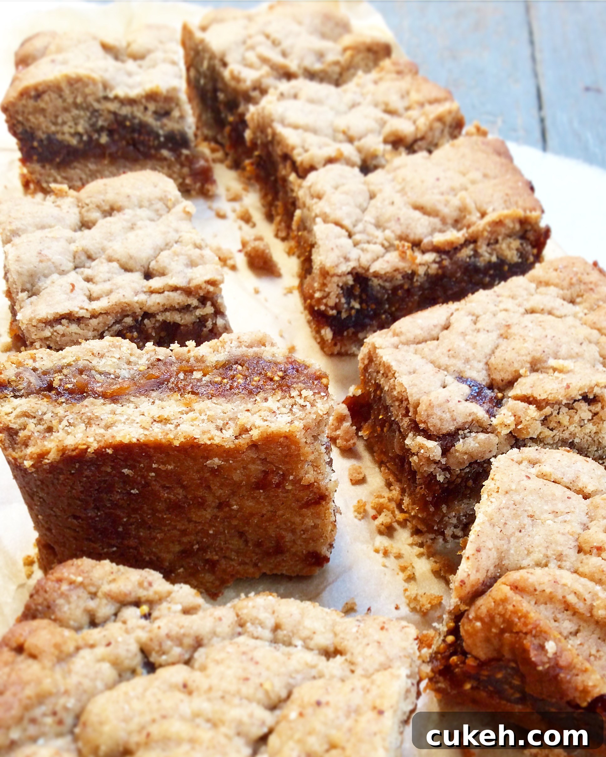 Whole Wheat Fig Bars (Vegan)
