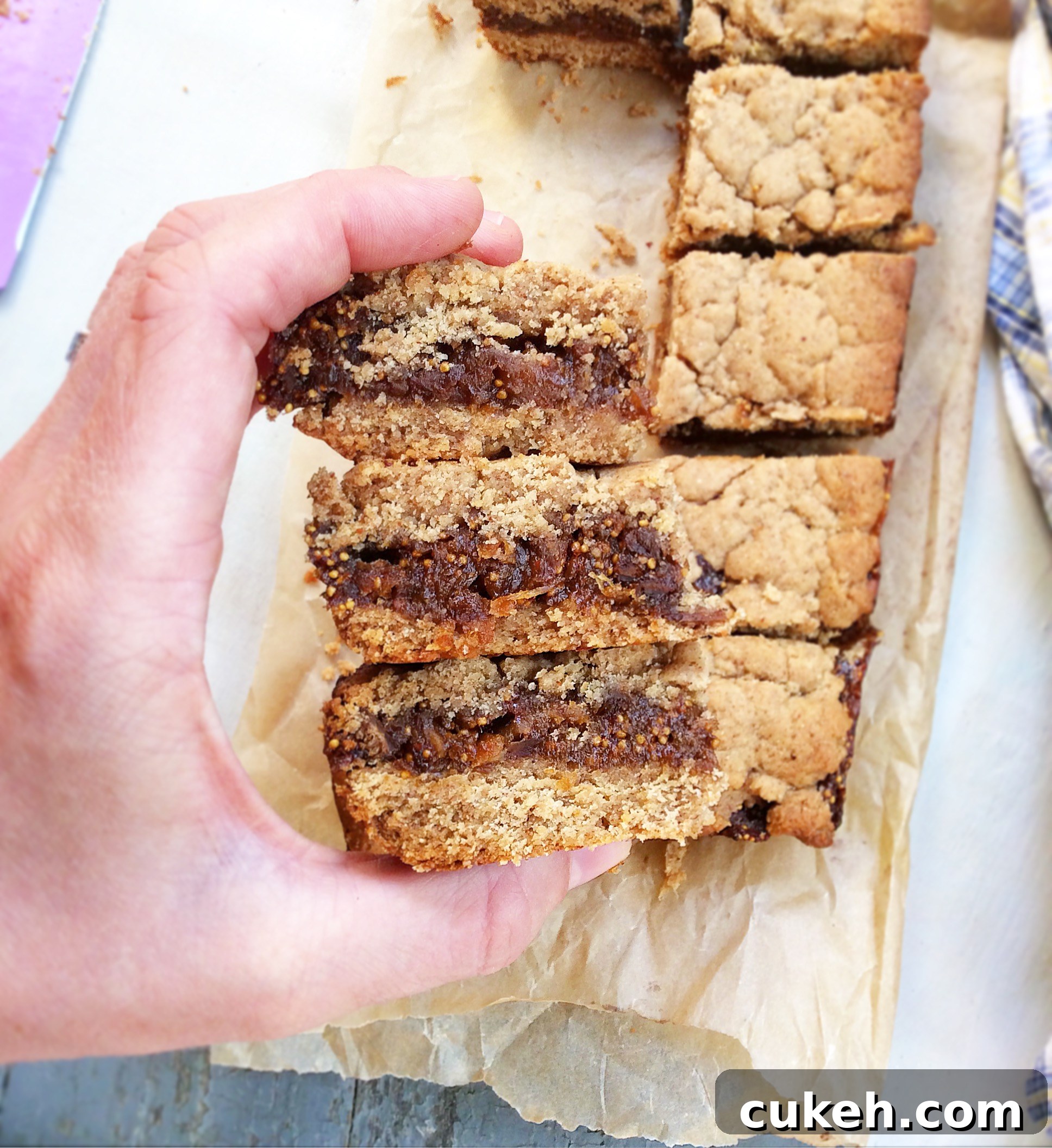 Whole Wheat Fig Bars (Vegan)