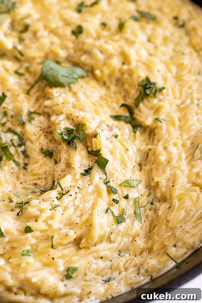 Close up of this creamy pasta dish.