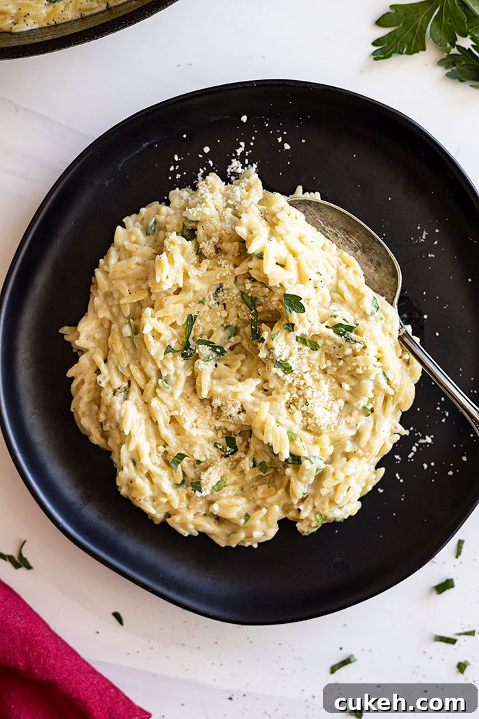 Orzo served on a black plate with a spoon ready to take a bite. Garnished with fresh parsley , parmesan cheese, and black pepper.