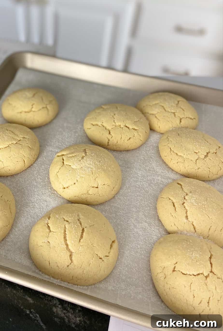Baked cookies on baking sheet.