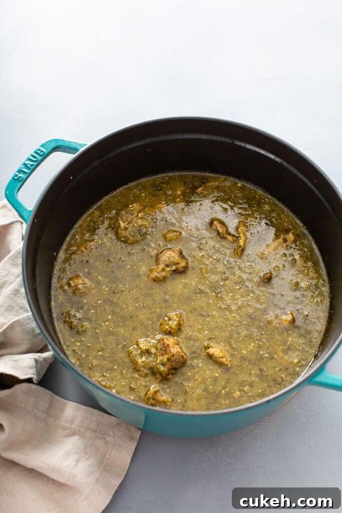 Delicious Pork Chile Verde (green chile) done cooking after simmering for a while. 