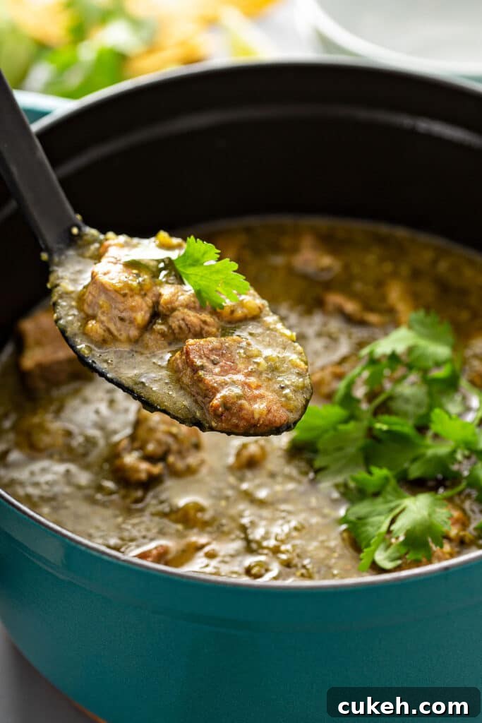A big spoonful of pork in chile verde sauce lifted from a Dutch oven pot