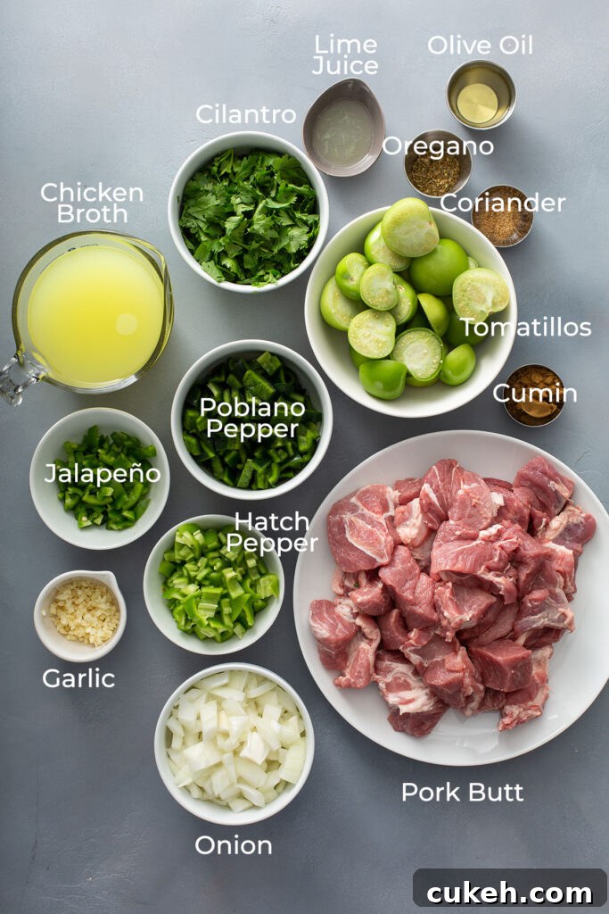 All the ingredients needed to make Mexican chile verde pork stew on a gray surface