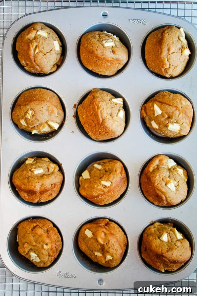 gluten free apple muffins in a muffin tin
