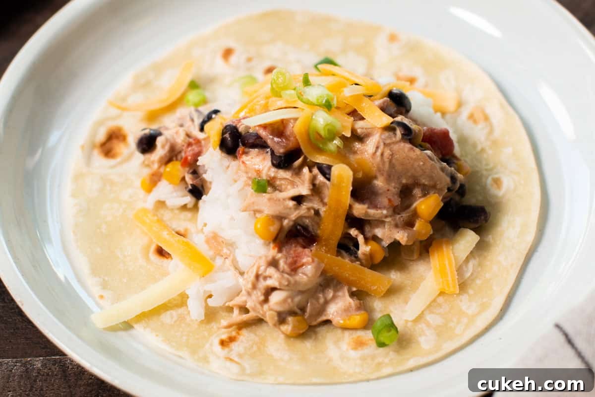tortilla with fiesta chicken on it.