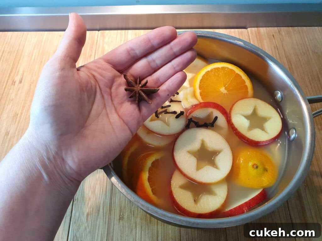 adding star annise to a pot containing sliced apples and oranges, cloves and apple cider, on a chopping board.