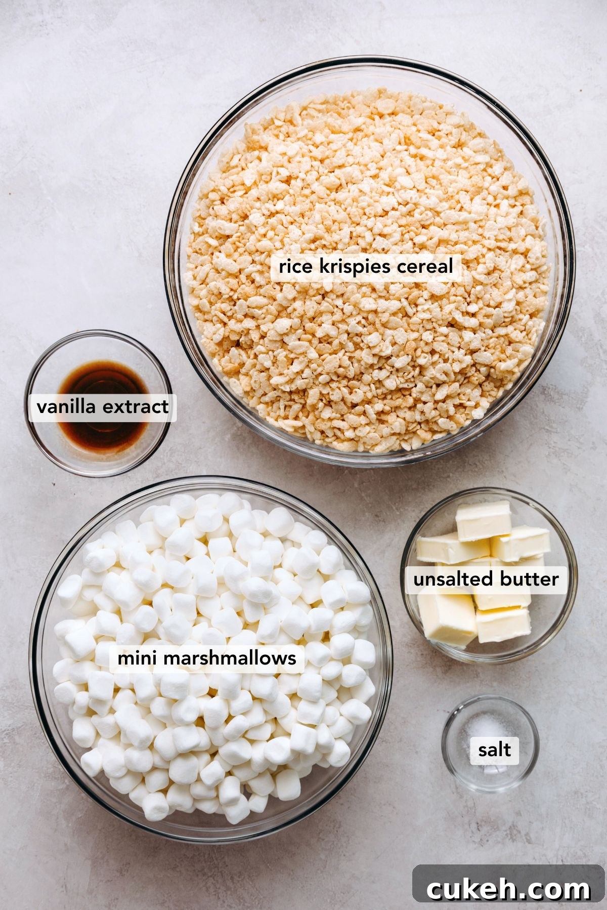 Ingredients in various size plates and bowls labeled as rice krispies cereal, vanilla extract, mini marshmallows, unsalted butter, and salt on a white marbled background.