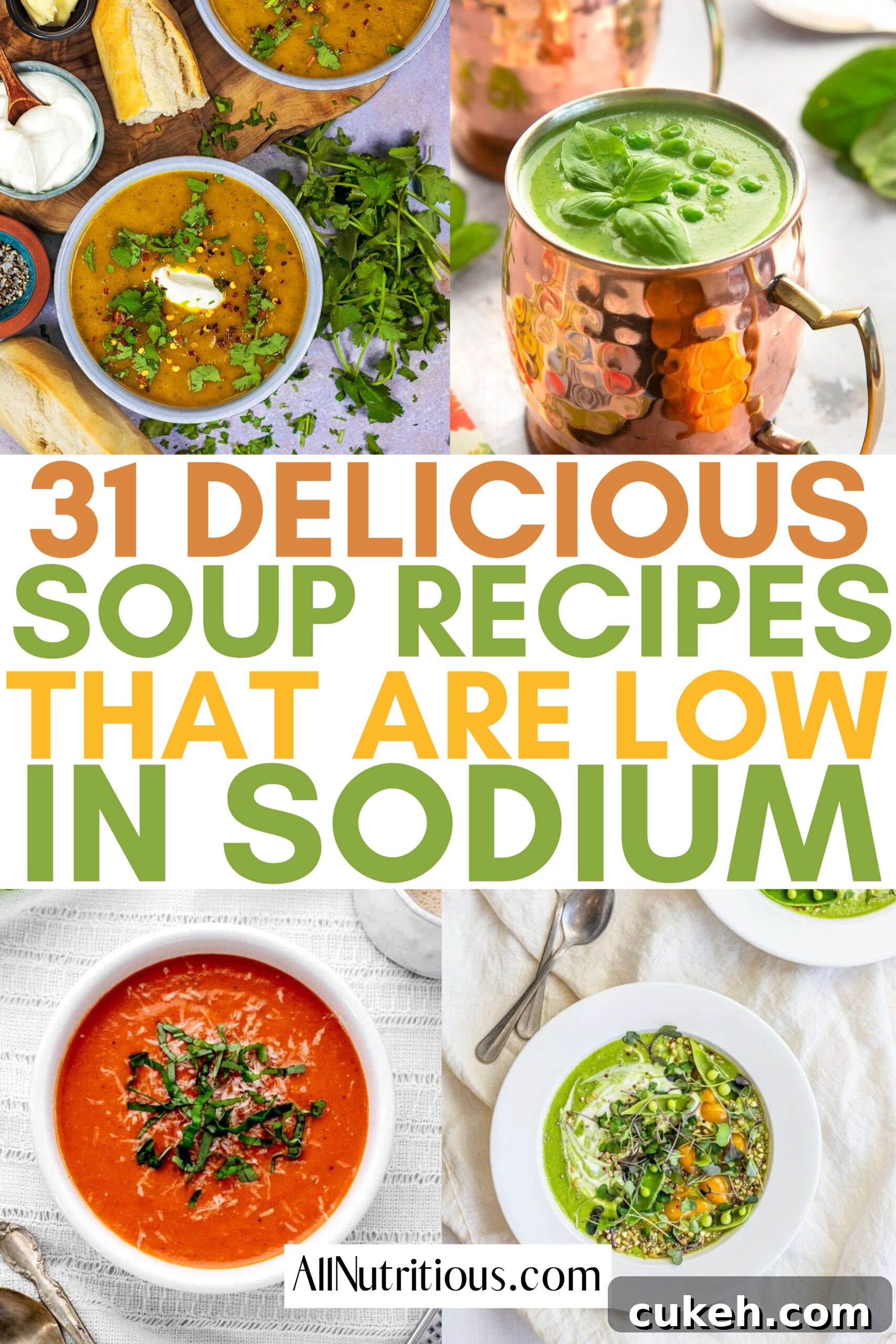 31 Flavor-Packed Low-Sodium Soup Recipes You’ll Love 2 low sodium soup recipes