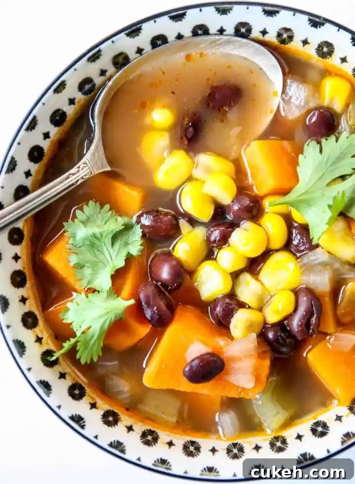 31 Flavor-Packed Low-Sodium Soup Recipes You’ll Love 13 sweet potato black bean