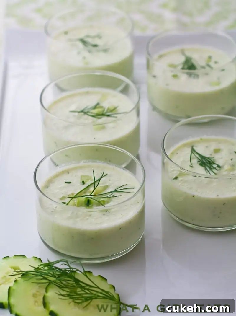 31 Flavor-Packed Low-Sodium Soup Recipes You’ll Love 14 cold cucumber soup