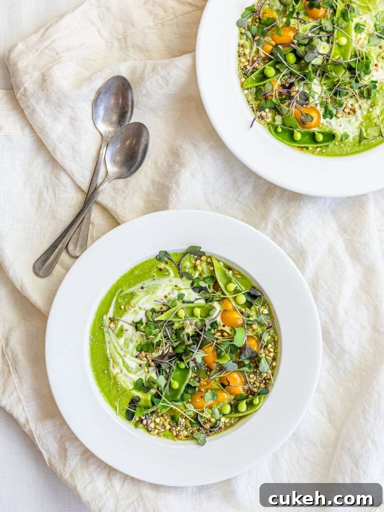 31 Flavor-Packed Low-Sodium Soup Recipes You’ll Love 19 chilled cucumber avocado soup
