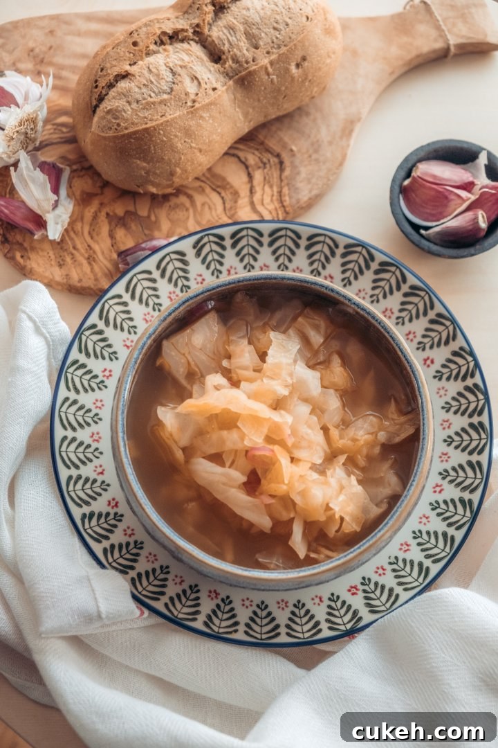 31 Flavor-Packed Low-Sodium Soup Recipes You’ll Love 3 sour cabbage soup