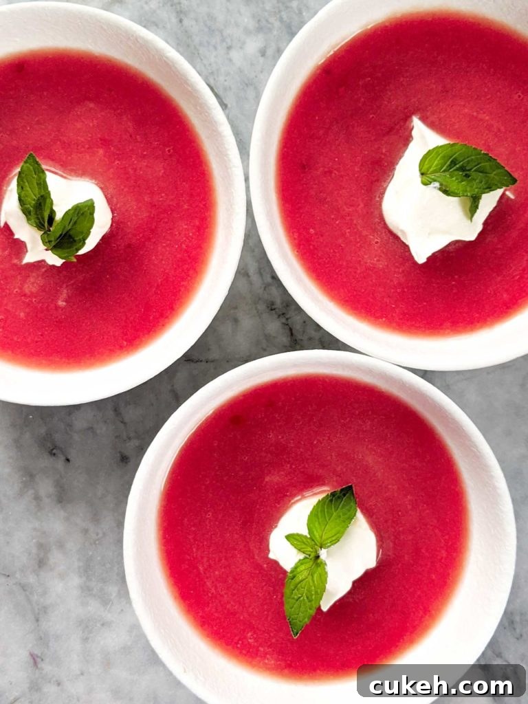 31 Flavor-Packed Low-Sodium Soup Recipes You’ll Love 26 rhubarb soup