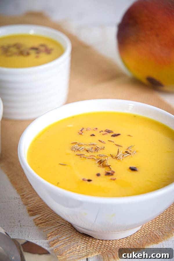 31 Flavor-Packed Low-Sodium Soup Recipes You’ll Love 29 mango soup