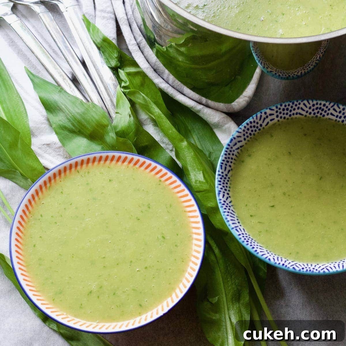 31 Flavor-Packed Low-Sodium Soup Recipes You’ll Love 32 wild garlic soup