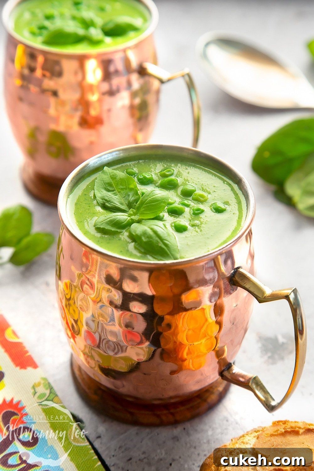 31 Flavor-Packed Low-Sodium Soup Recipes You’ll Love 5 fresh green soup
