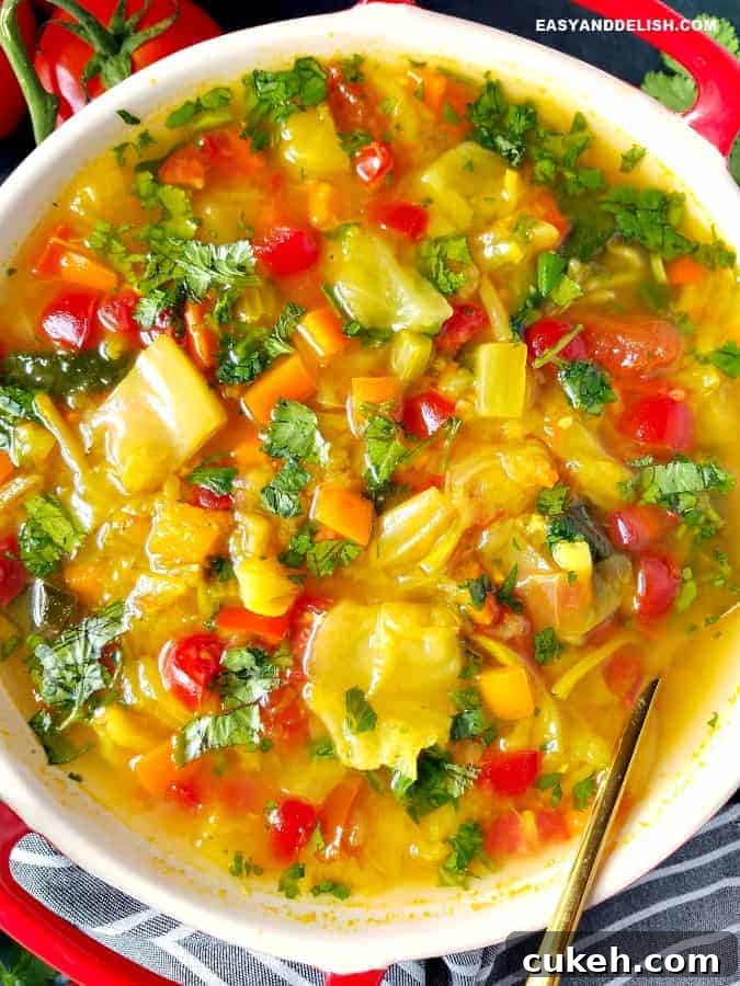 31 Flavor-Packed Low-Sodium Soup Recipes You’ll Love 6 cabbage soup
