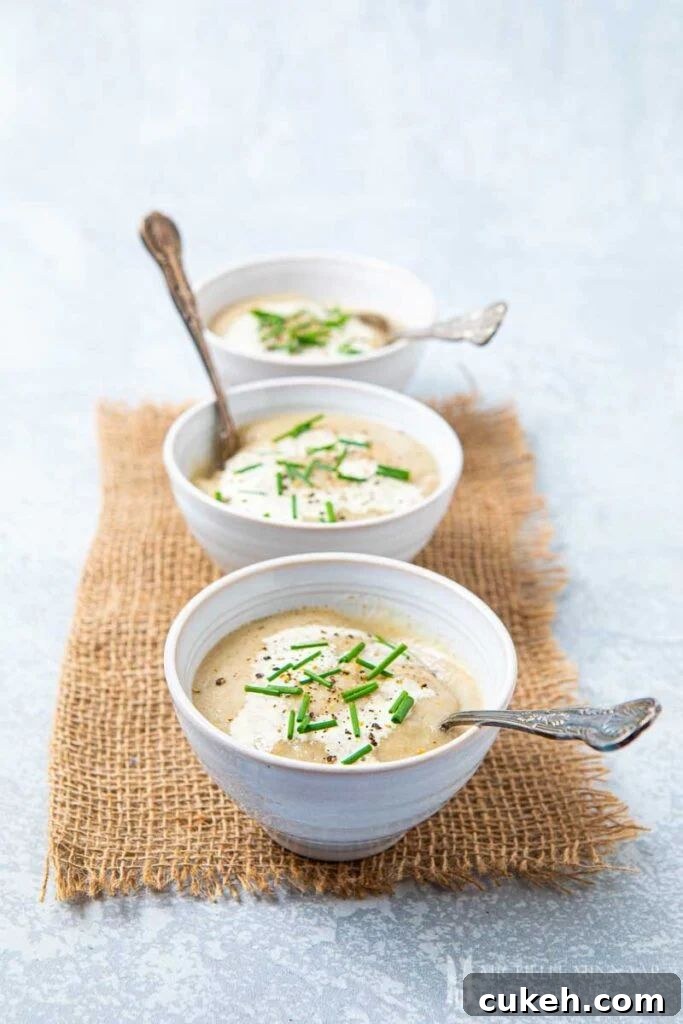 31 Flavor-Packed Low-Sodium Soup Recipes You’ll Love 8 artichoke soup