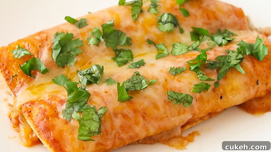 easy baked red chicken enchiladas topped with cilantro
