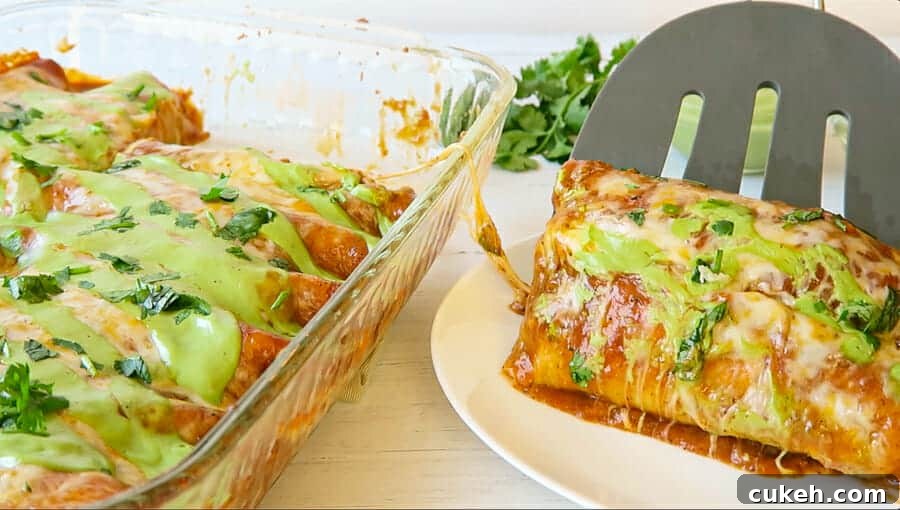 serving two red enchiladas onto a dinner plate 