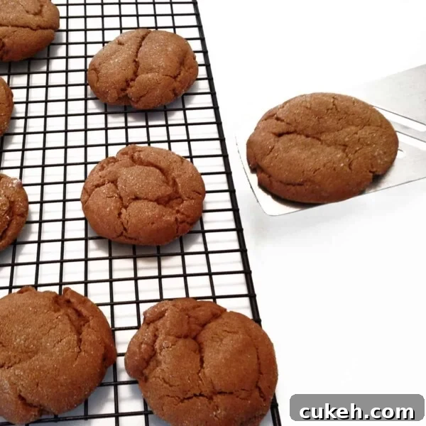 Forgotten-Style Homemade Cookies: Soft, Crispy, Timeless Recipe 6 Molasses cookie on a cooling rack.